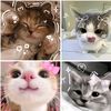 linda26577