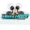 hoya_hoya_audiio