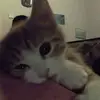 atihfa_s