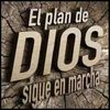 dariosalas176