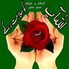 user82956316061411