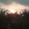 tia_43770