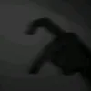 korniszon007