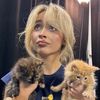 swiftie_tay2