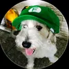 oscar_por1