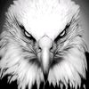 im.king1290