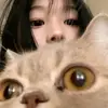 virr_wb