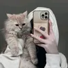 ci_hiii
