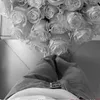 ferarry_0