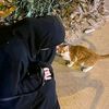 amanymohammed009