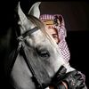 kimo_masr26
