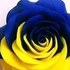 user2841461203615