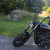 lilithstreetbob