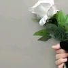 .fofo007