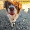 you_donutneedmynamee