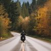 travel.with.a..sh