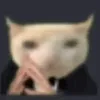 xzxxxzz111