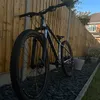 rileymtb31