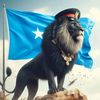 mohamed.abdi.riza
