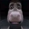 krejzoo8