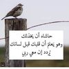 ana.bahb.habeby
