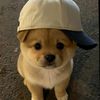 parichat_1609