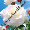 yunse.ramli
