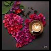 lily72578