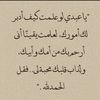 jawaer11