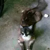 onlyfrn1