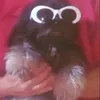 saco.de.pancadas