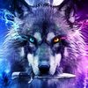 user31818235201800