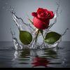user74141915833344