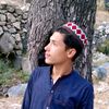 zaib.archer804