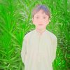 shzad.bahi