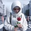 majd.hakam