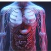 medical_3D