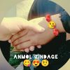 m.faizan1477