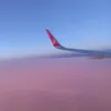 barklebi5t9
