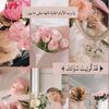bent_kw8