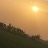 faizbhatti6402