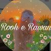 robina3133