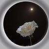 usmankhan11407