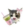 zaaaa_cuteis