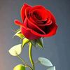 md.roton.islam01
