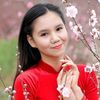 rose48594