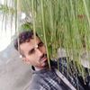 m.tanvir502