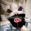 minhnguqua2