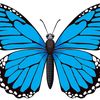birabiro.bee