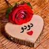 khalfa.dorsaf